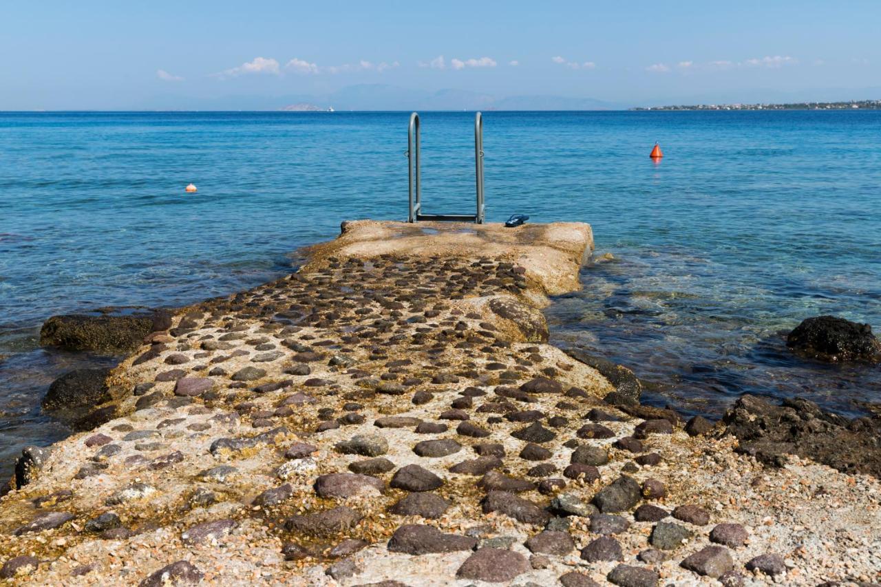 Mare 2* Пердика